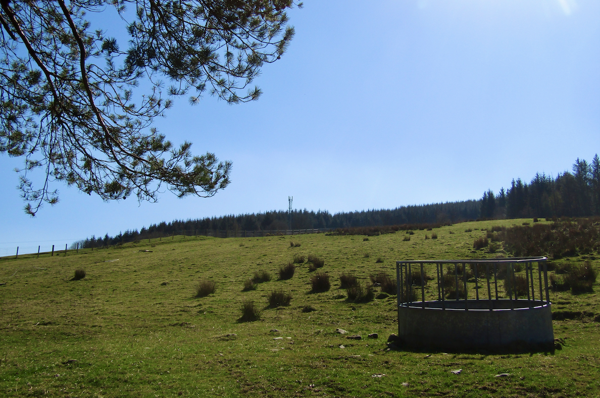 Rural Britain Gets a 4G Boost with Over 75 Mobile Mast Upgrades 