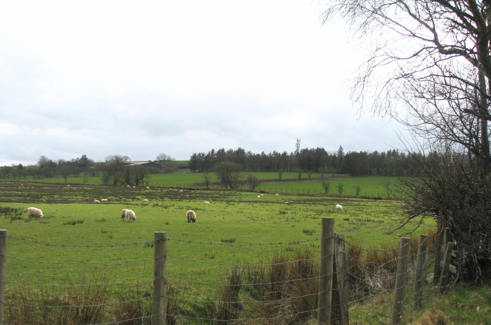 UK Government Funded Mobile Phone Mast Upgrades Hit 50 mast Milestone in Wales 
